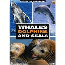 Whales Dolphins & Seals  [Impor DVD Pre-Owned Region 2