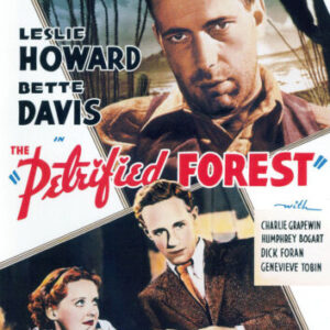 Petrified Forest  [Region 1] [US Im DVD Pre-Owned Region 2