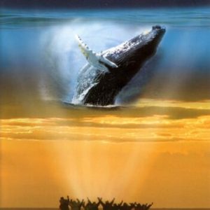 Whaledreamers  [2008] [Region 1] [U DVD Pre-Owned Region 2