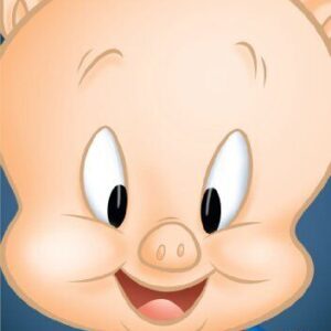 Porky Pig DVD (2012) Cert U Pre-Owned Region 2