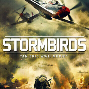 Stormbirds DVD (2019) Stephen Gilliam, Forbes (DIR) Cert 15 Pre-Owned Region 2