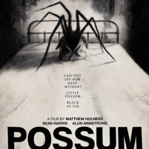 Possum DVD (2019) Sean Harris, Holness (DIR) Cert 15 Region 2