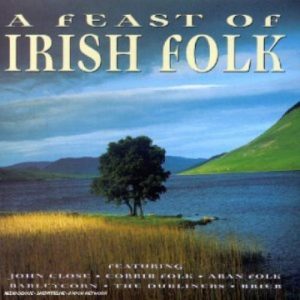 Various : Feast of Irish Folk CD Pre-Owned