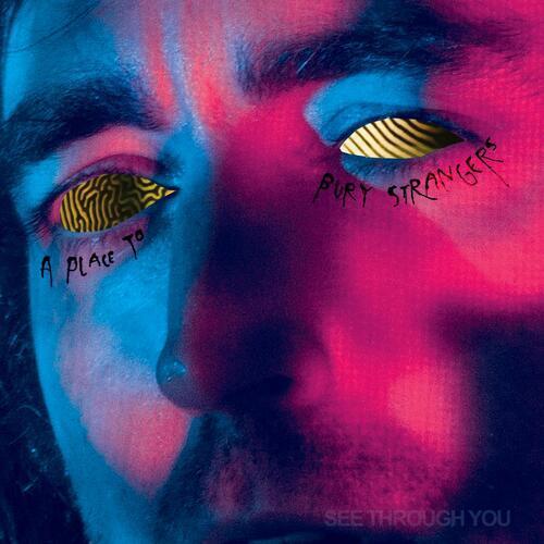 A Place to Bury Strangers : See Through You CD (2022)