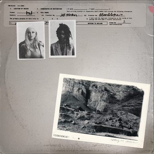 700 Bliss : Nothing to Declare CD (2022)