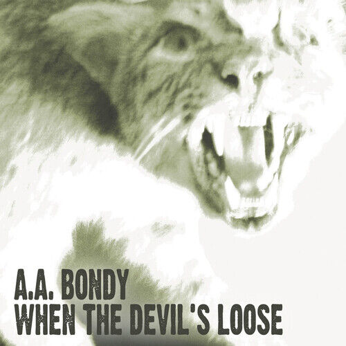 A.A. Bondy : When the Devil's Loose CD (2009)