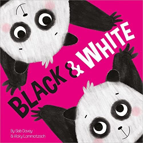 Black and White (Picture Storys), Davey, Seb Paperback Book Pre-Owned English