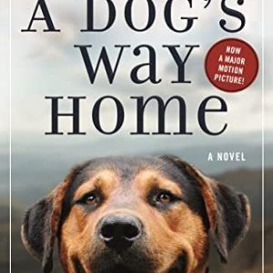 A Dog's Way Home: 1 (Dog's Way Home..., Cameron, W Bruc Paperback Book Pre-Owned English
