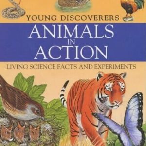 Animals in Action (Young Discoverers S.), Morgan, Sally Paperback Book Pre-Owned English