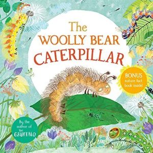 The Woolly Bear Caterpillar, Donaldson, Julia Paperback Book Pre-Owned English
