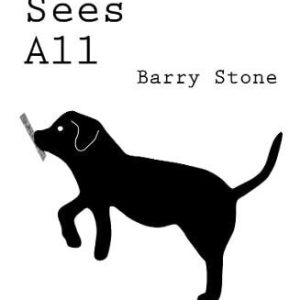 Winston Sees All: N/A: Three (The Wins..., Stone, Barry Paperback Book Pre-Owned English