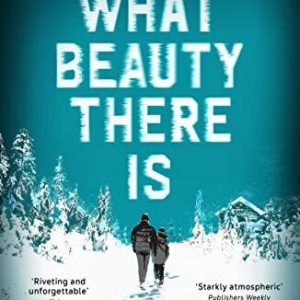 What Beauty There Is, Anderson, Cory Paperback Book Pre-Owned English