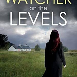 WATCHER ON THE LEVELS an addictive cr..., Hodges, David Paperback Book Pre-Owned English