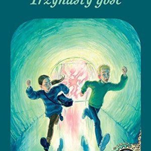 Trzynasty gosc (DAWID I LARISA), Widmark, Martin Paperback Book Pre-Owned English