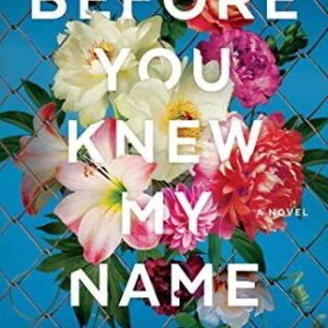 Before You Knew My Name, Bublitz, Jacqueline Paperback Book Pre-Owned English