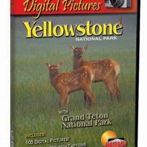 Yellowstone National Park Digital Pictures - Game 8QVG Pre-Owned