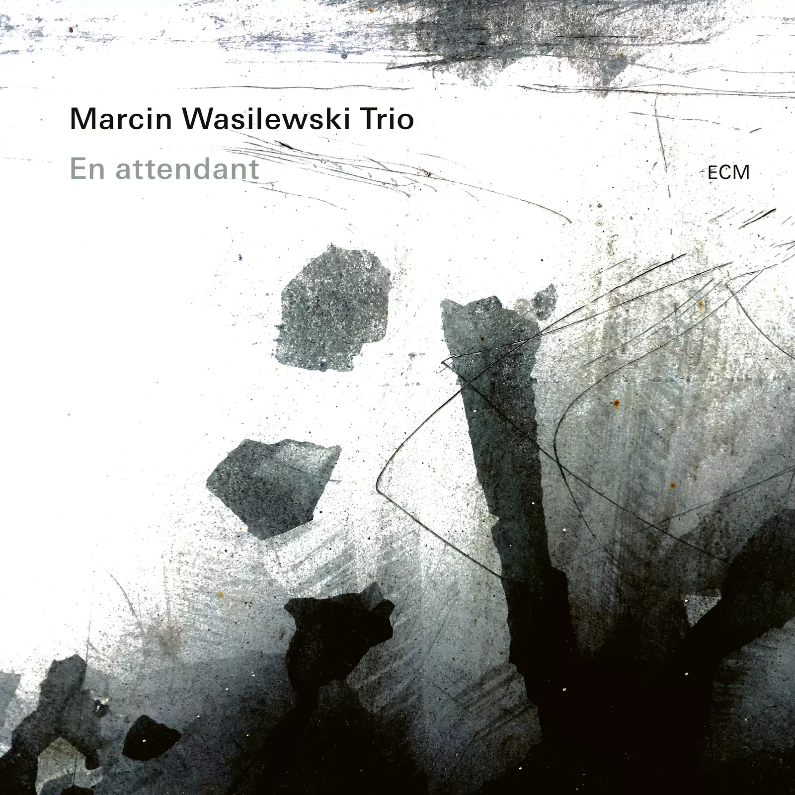 Marcin Wasilewski Trio En Attendant (Vinyl) 12" Album New