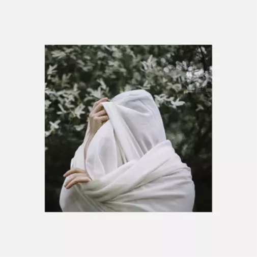 Zola Mennenöh Longing for Belonging (Vinyl) 12" Album New