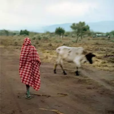 Stalawa Stalawa in East Africa (Vinyl) 12" EP New
