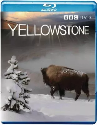 Yellowstone [Region Free] Blu-Ray Pre-Owned