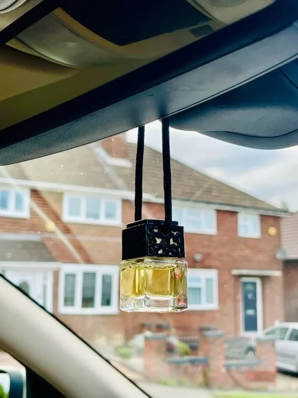AVENTUS Car Diffuser Air Freshener - Air Vent Clip Included - 2 way hanging - Image 6