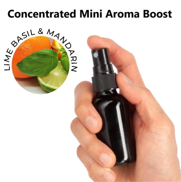 LIME BASIL & MANDARIN  - Car Home Fabric Air Freshener Spray - Mini Aroma Boost