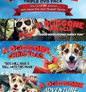 A Doggone Triple DVD (2020) Jaret Sacrey, Wynorski (DIR) cert U 3 discs Brand New