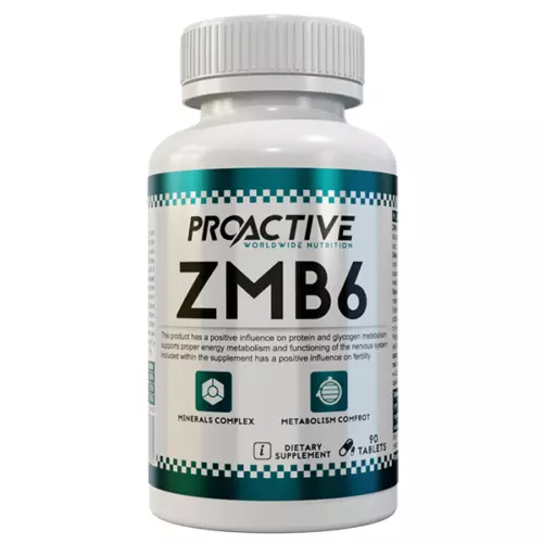 ZMB6 MAGNESIUM ZINC VITAMIN B6 IMMUNITY ZMA ProActive 90 tabs